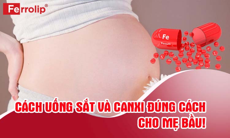 Cách uống sắt và canxi đúng cách cho bà bầu chuẩn chuyên gia