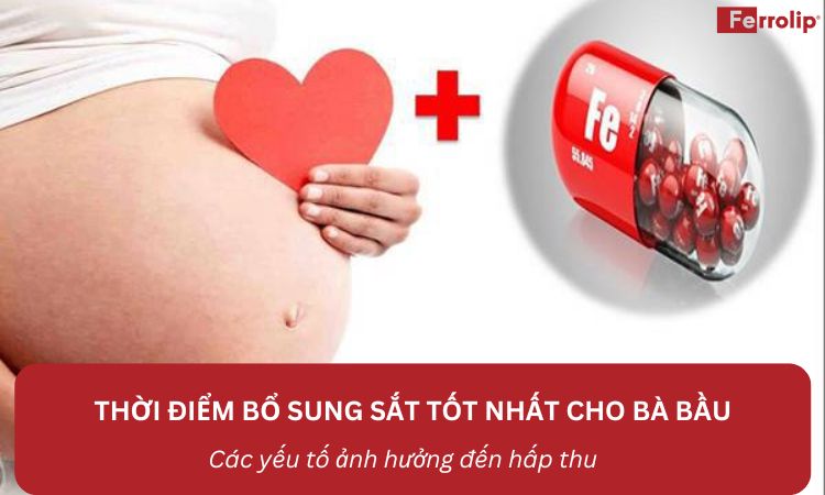 Thời điểm bổ sung sắt tốt nhất cho bà bầu - Các yếu tố ảnh hưởng đến hấp thu