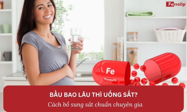 Bầu bao lâu thì uống sắt? Cách bổ sung sắt chuẩn chuyên gia