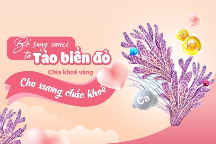 Bổ sung canxi từ tảo biển đỏ: Bí quyết hỗ trợ xương chắc khỏe