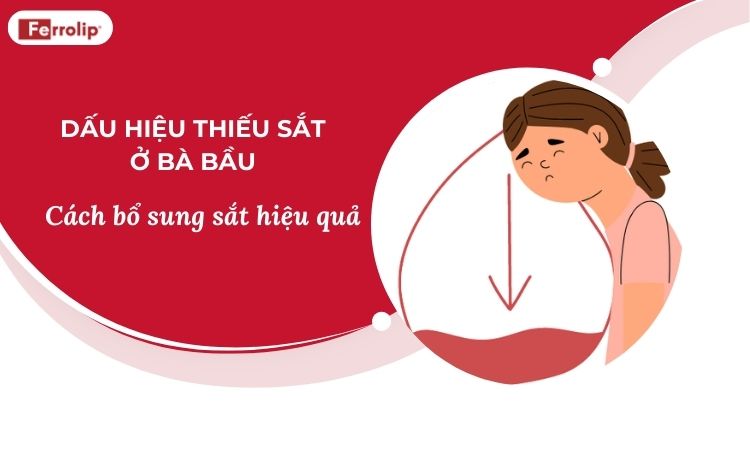 Dấu hiệu thiếu sắt ở bà bầu - Cách bổ sung sắt hiệu quả