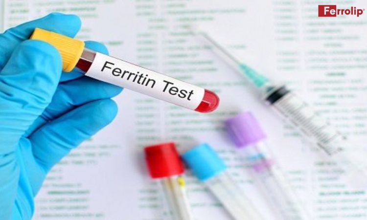 chỉ số feritin trong máu của bà bầu