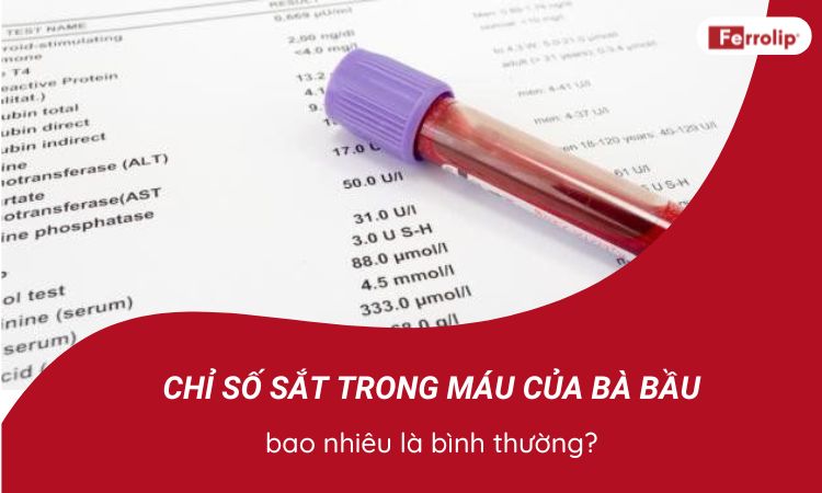 Chỉ số sắt trong máu của bà bầu bao nhiêu là bình thường?