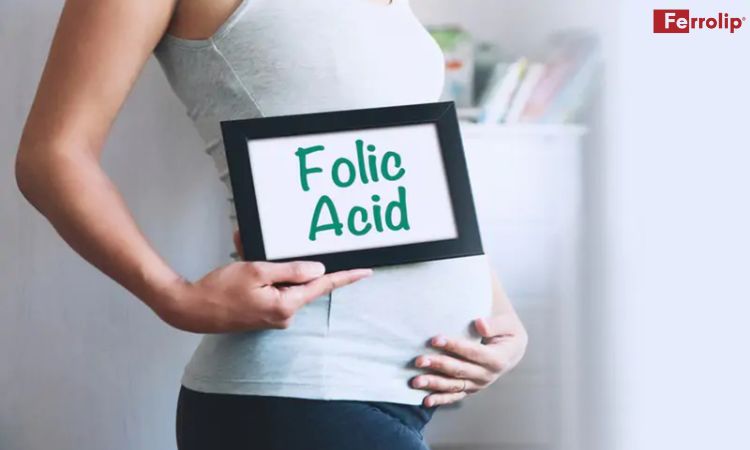 vai trò của acid folic