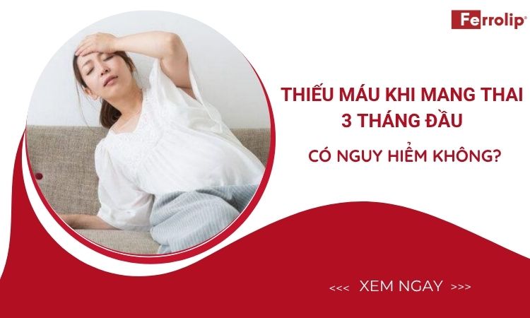 Thiếu máu khi mang thai 3 tháng đầu có nguy hiểm không?