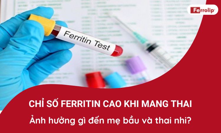 Chỉ số ferritin cao khi mang thai ảnh hưởng gì đến mẹ bầu và thai nhi?