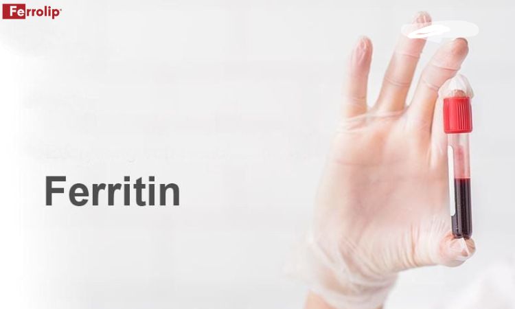 xét nghiệm ferritin khi mang thai