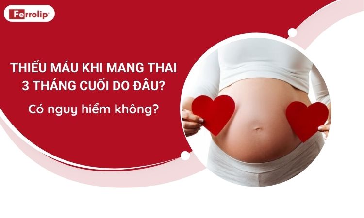 Thiếu máu khi mang thai 3 tháng cuối do đâu? Có nguy hiểm không?