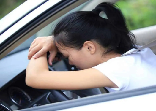 Người bị huyết áp thấp rất hay bị say tàu xe