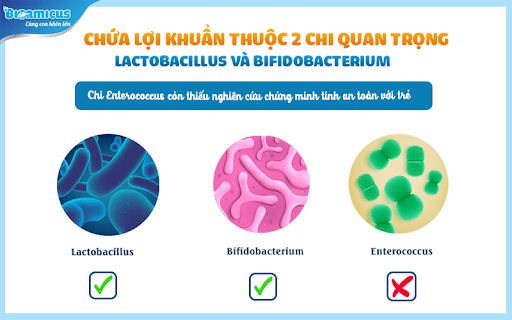 men-vi-sinh-probiotics-loi-khuan-tot-nhat